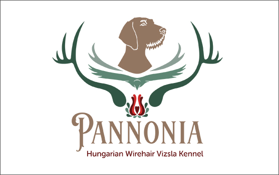 Pannonia Hungarian Wirehair Vizsla Kennel