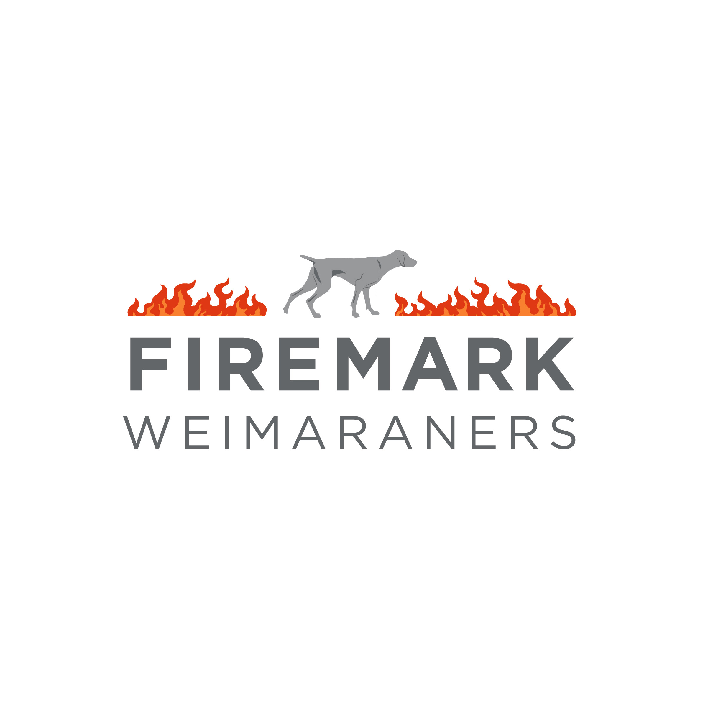 Firemark Weimaraners