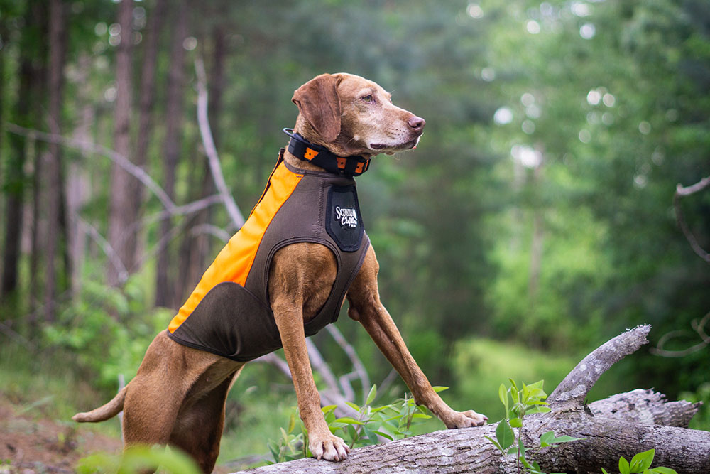 Scheels Hunting Dog Vest