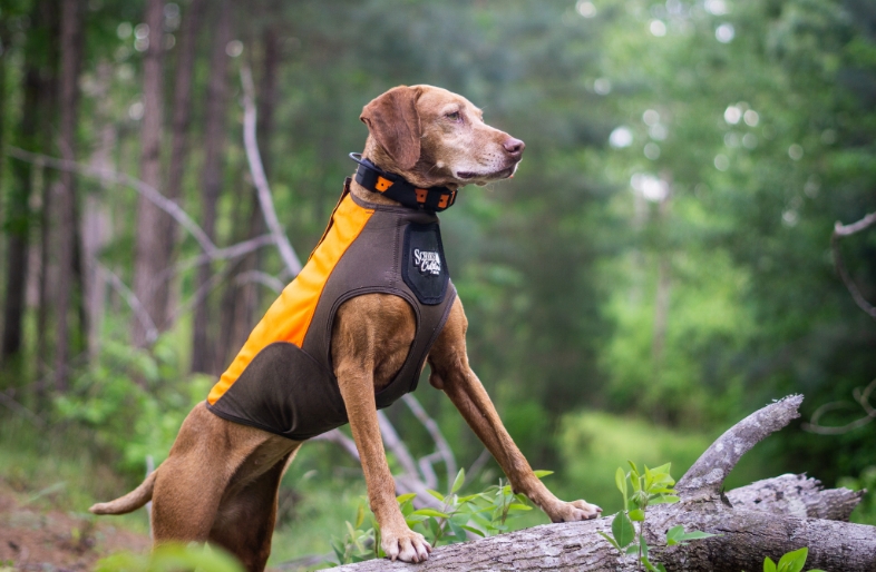 Scheels vest review