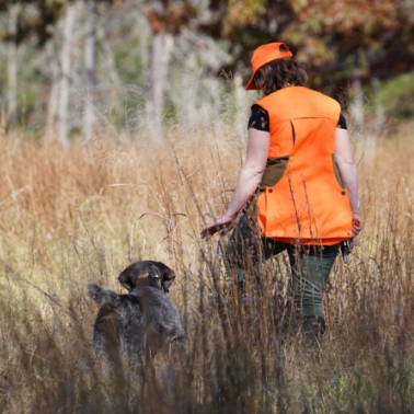 dog videography