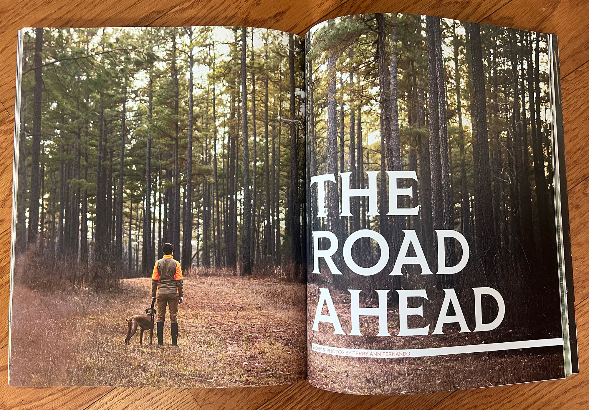 American Field Sportsman's Journal Feature Article