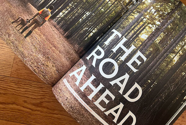 American Field Sportsman's Journal Feature Article
