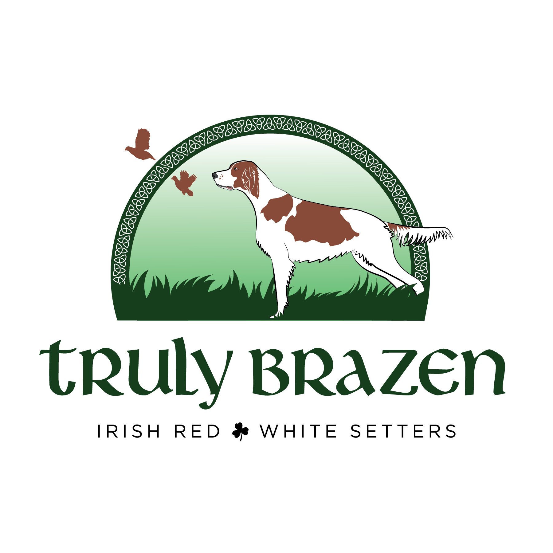 Truly Brazen Irish Red & White Setters