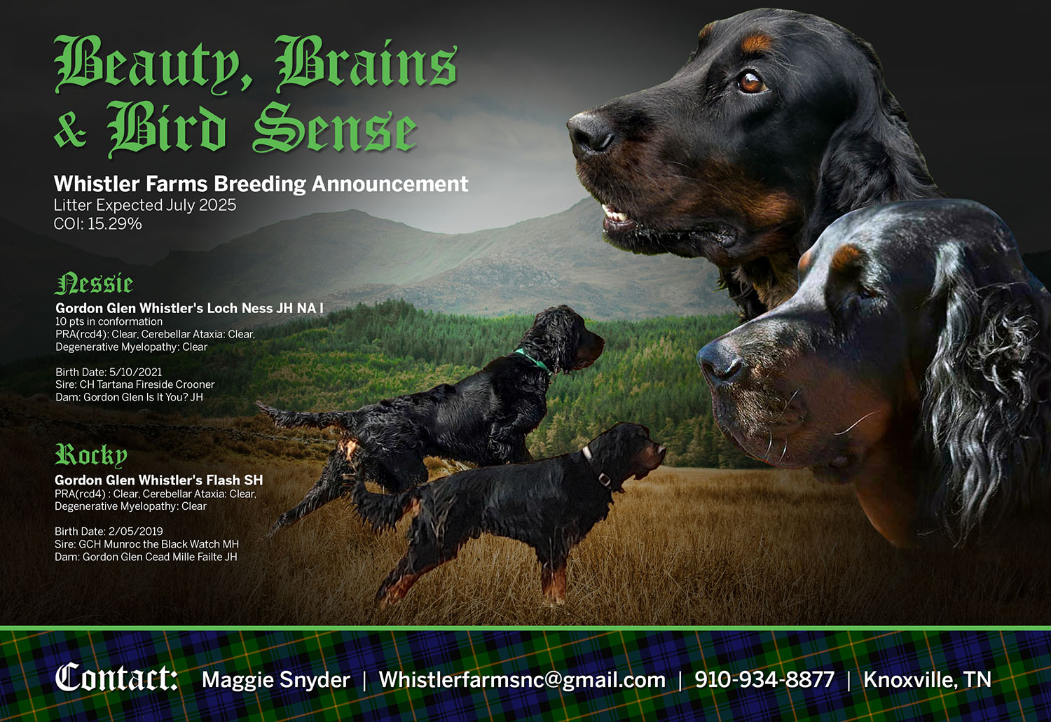 Whistler Farms Breeding Announcement